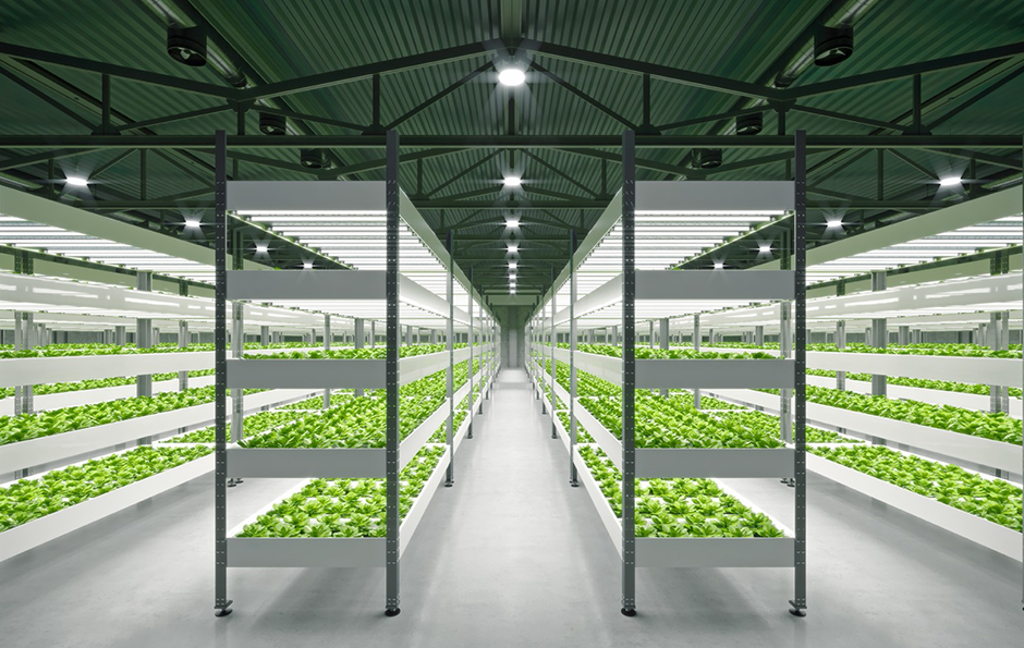 BB电子游戏(中国集团)官方网站