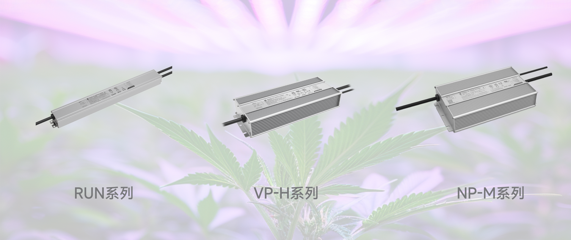 BB电子游戏(中国集团)官方网站