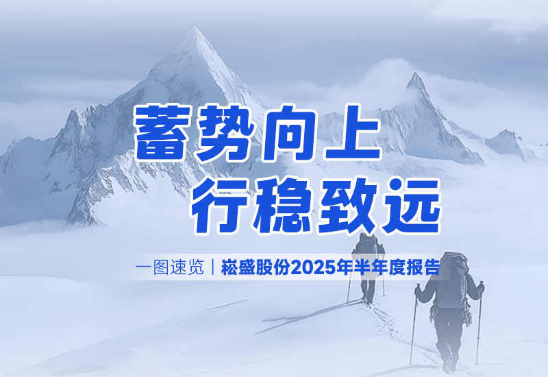 一图速览 | BB电子游戏股份2025年半年度报告