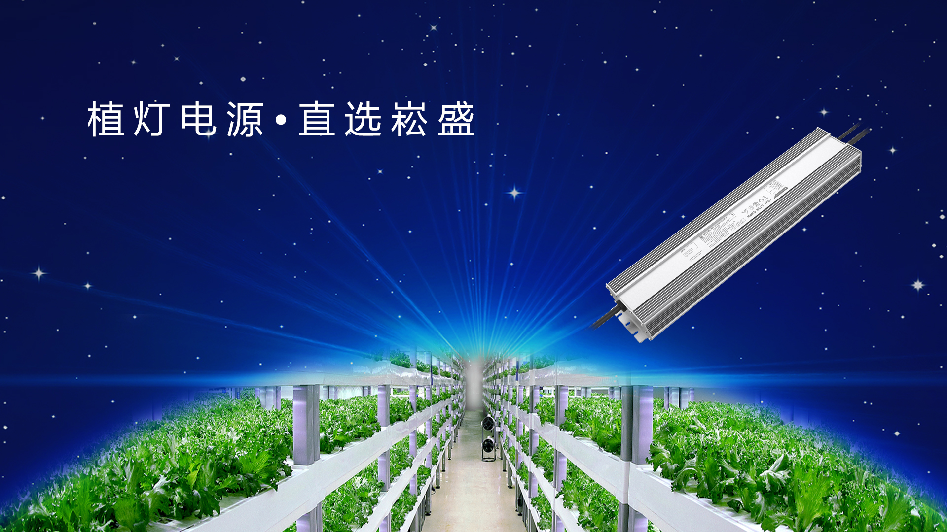 追光而行 ▏做植物照明驱动者，让未来农业绽放无限可能